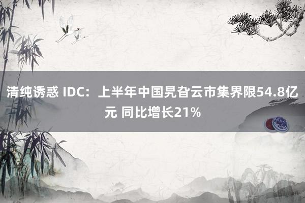 清纯诱惑 IDC：上半年中国旯旮云市集界限54.8亿元 同比增长21%