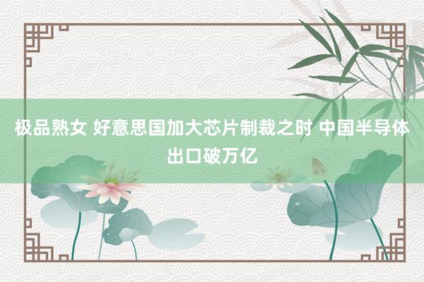 极品熟女 好意思国加大芯片制裁之时 中国半导体出口破万亿