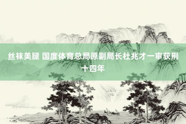 丝袜美腿 国度体育总局原副局长杜兆才一审获刑十四年