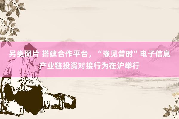 另类图片 搭建合作平台，“豫见昔时”电子信息产业链投资对接行为在沪举行