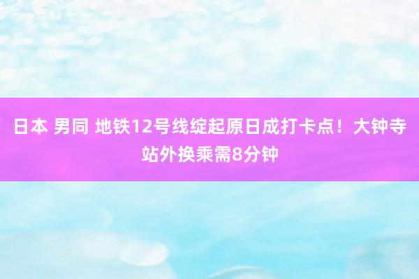 日本 男同 地铁12号线绽起原日成打卡点！大钟寺站外换乘需8分钟