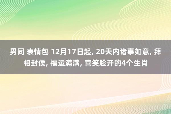 男同 表情包 12月17日起， 20天内诸事如意， 拜相封侯， 福运满满， 喜笑脸开的4个生肖