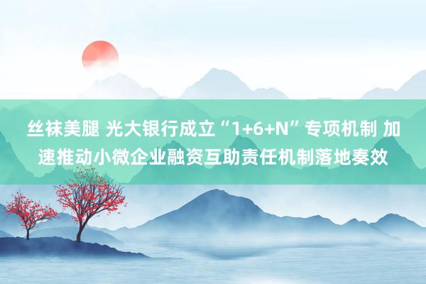 丝袜美腿 光大银行成立“1+6+N”专项机制 加速推动小微企业融资互助责任机制落地奏效