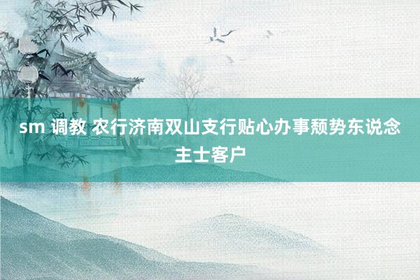 sm 调教 农行济南双山支行贴心办事颓势东说念主士客户