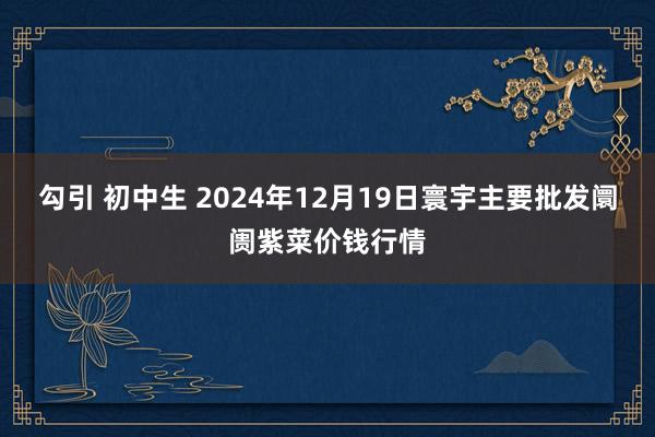勾引 初中生 2024年12月19日寰宇主要批发阛阓紫菜价钱行情