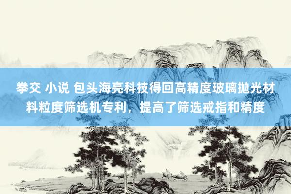 拳交 小说 包头海亮科技得回高精度玻璃抛光材料粒度筛选机专利，提高了筛选戒指和精度