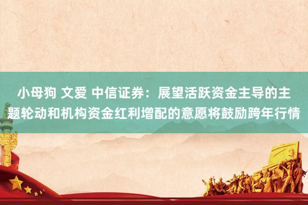 小母狗 文爱 中信证券：展望活跃资金主导的主题轮动和机构资金红利增配的意愿将鼓励跨年行情