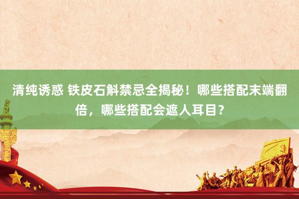 清纯诱惑 铁皮石斛禁忌全揭秘！哪些搭配末端翻倍，哪些搭配会遮人耳目？