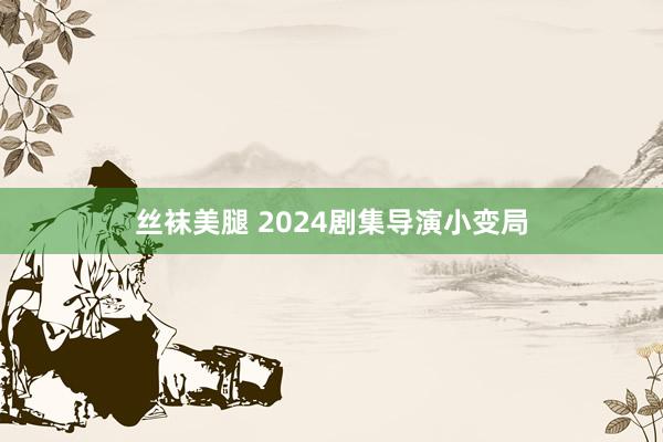 丝袜美腿 2024剧集导演小变局
