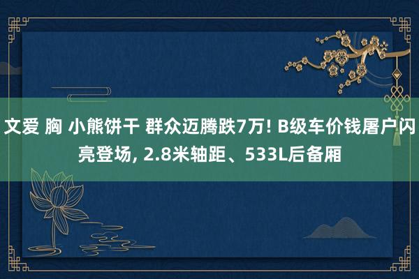 文爱 胸 小熊饼干 群众迈腾跌7万! B级车价钱屠户闪亮登场， 2.8米轴距、533L后备厢