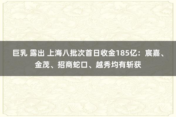 巨乳 露出 上海八批次首日收金185亿：宸嘉、金茂、招商蛇口、越秀均有斩获