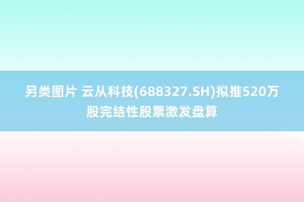 另类图片 云从科技(688327.SH)拟推520万股完结性股票激发盘算