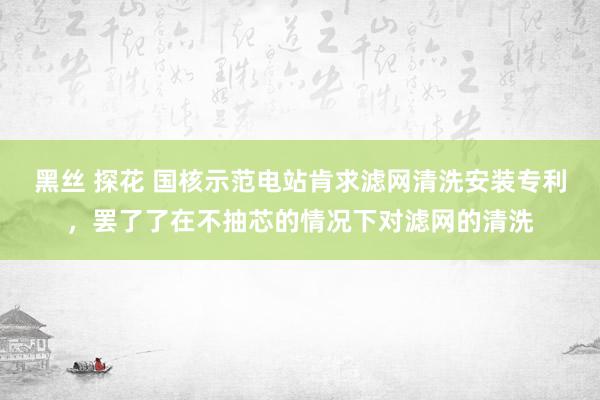 黑丝 探花 国核示范电站肯求滤网清洗安装专利，罢了了在不抽芯的情况下对滤网的清洗