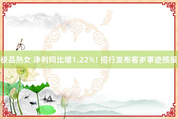 极品熟女 净利同比增1.22%! 招行发布客岁事迹预报