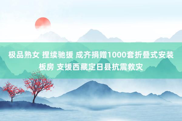 极品熟女 捏续驰援 成齐捐赠1000套折叠式安装板房 支援西藏定日县抗震救灾
