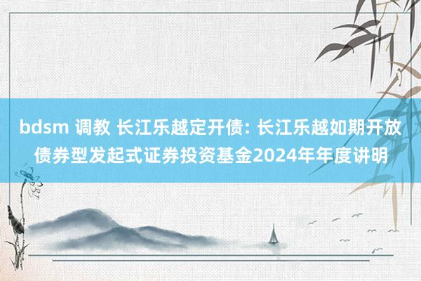 bdsm 调教 长江乐越定开债: 长江乐越如期开放债券型发起式证券投资基金2024年年度讲明