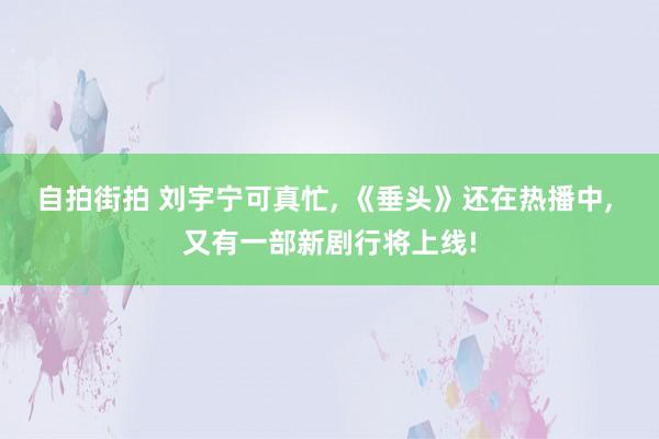 自拍街拍 刘宇宁可真忙， 《垂头》还在热播中， 又有一部新剧行将上线!
